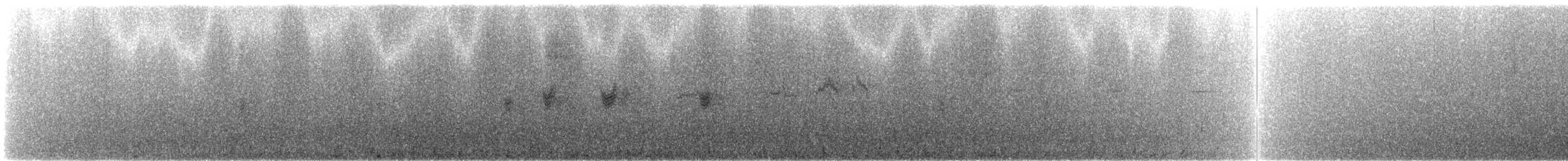 Mirlo Acuático Coroniblanco (leuconotus) - ML245596