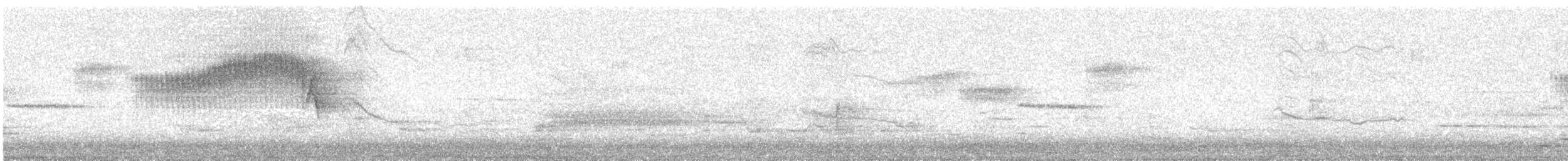 stryparula - ML245602541