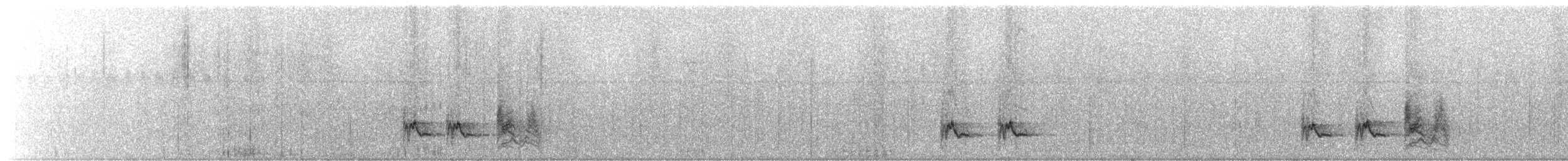 Oriole leucoptère - ML245622