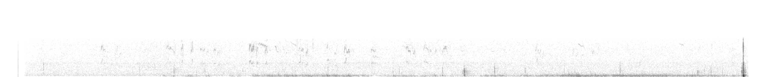 Chestnut-collared Longspur - ML24562231