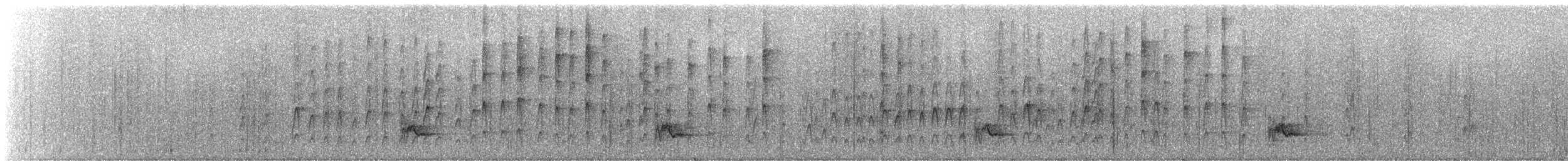 セアカハゲラ - ML245623