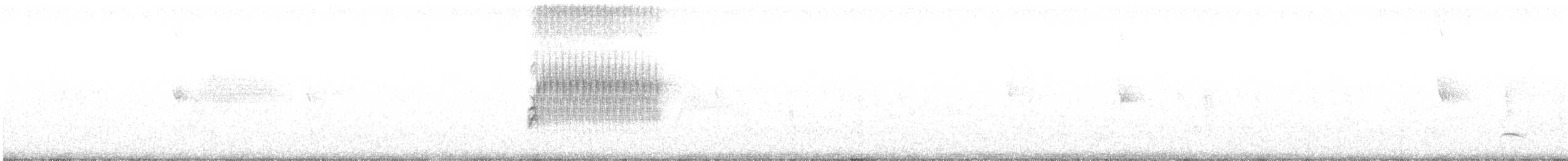Тауї плямистий - ML245623341