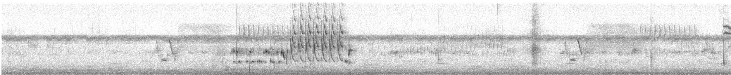 Marsh Wren (griseus) - ML245628831