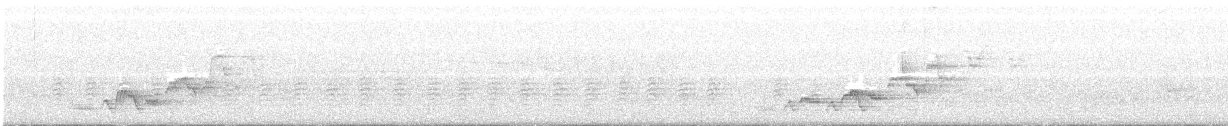Дрізд-короткодзьоб Cвенсона - ML245629321