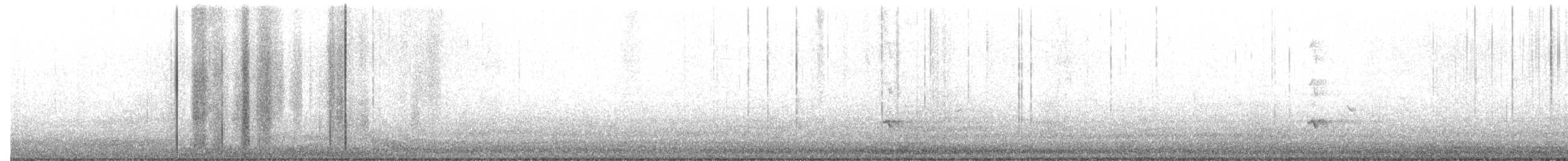 Oriole à dos rayé (groupe pustulatus) - ML245642261