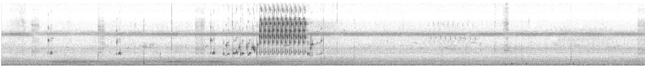 Marsh Wren (griseus) - ML245643761