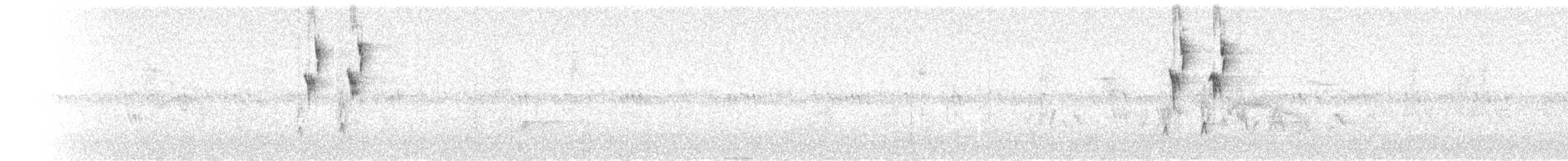Five-striped Sparrow - ML245661321