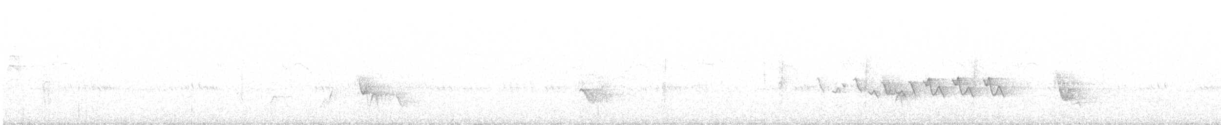 Белокрылая канделита - ML245671001