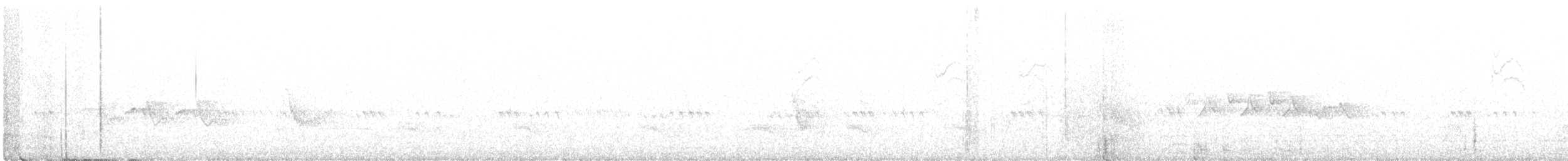 Белокрылая канделита - ML245671311
