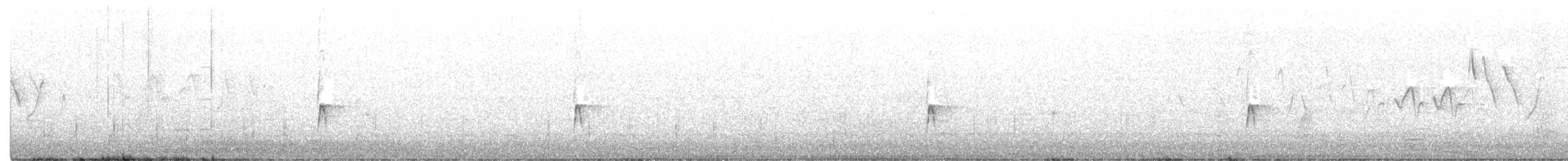 tyranovec olšový - ML245678451