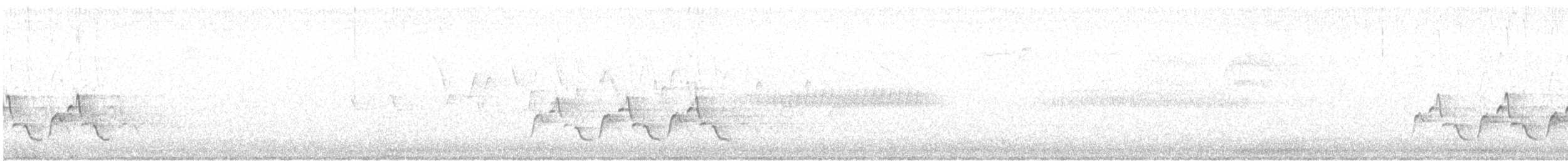 Carolina Wren - ML245686151