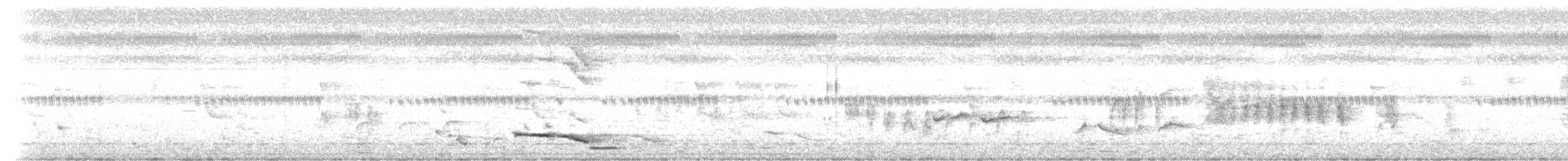 Black-naped Oriole - ML245687001