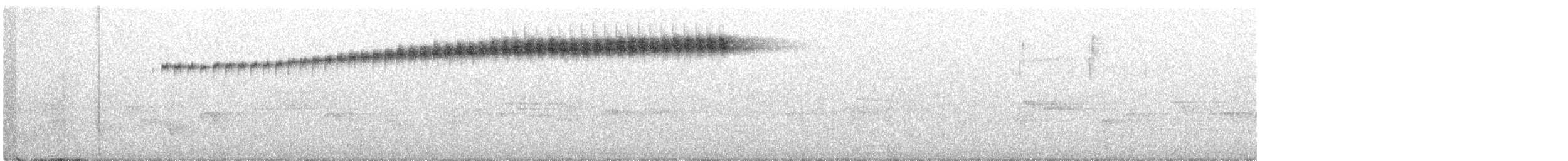 Широкохвістка далекосхідна - ML245692171