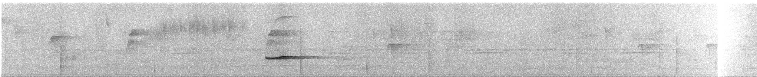 Gray-tailed Piha - ML245695