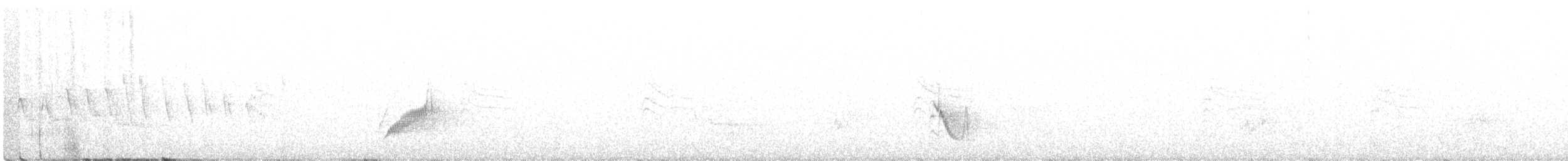 Plumbeous Vireo - ML245706681