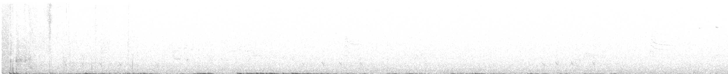 Grace's Warbler - ML245706861