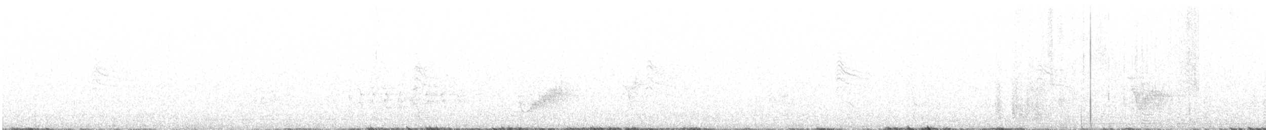 Grace's Warbler - ML245706911