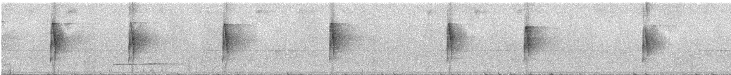 Тёмный тенелюб (peruvianus) - ML245710