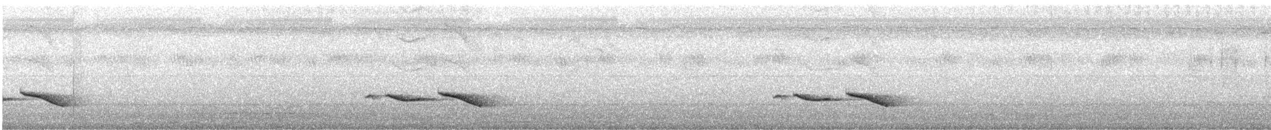 Puff-throated Babbler - ML245735681