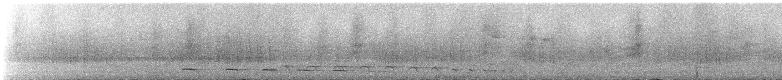 White-streaked Antvireo (White-streaked) - ML245740
