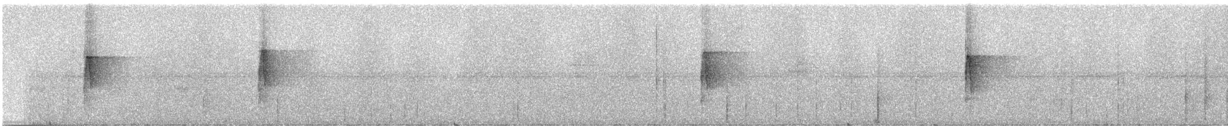 Sclérure obscur (peruvianus) - ML245749