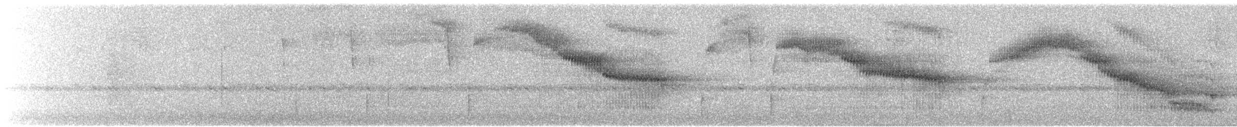Сипуха темно-бура (підвид tenebricosa/arfaki) - ML245750101