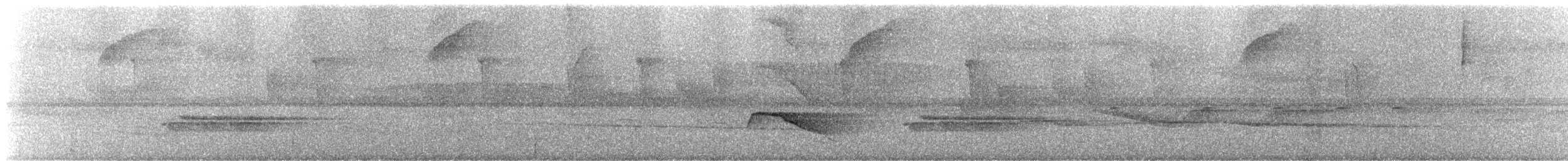 Yeşil Sırtlı Tırmaşık - ML245774