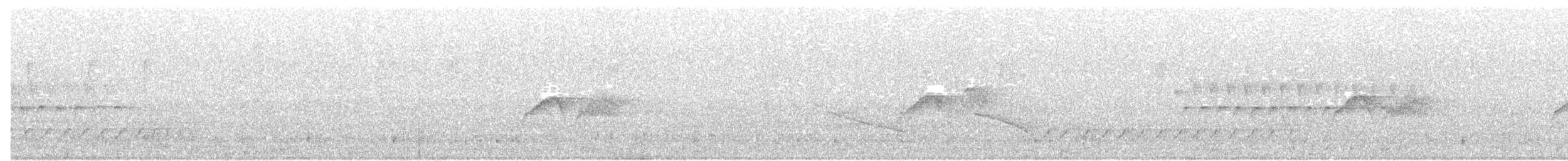 Светлобрюхий фиби - ML245781051
