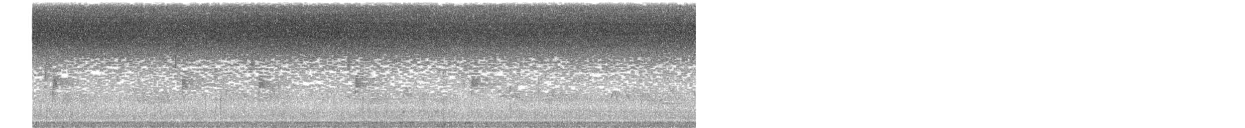 Küçük Boreal Sinekkapan - ML245787701