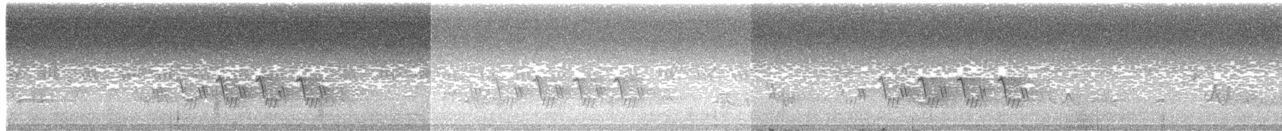 Черногорлая хвойница - ML245787851