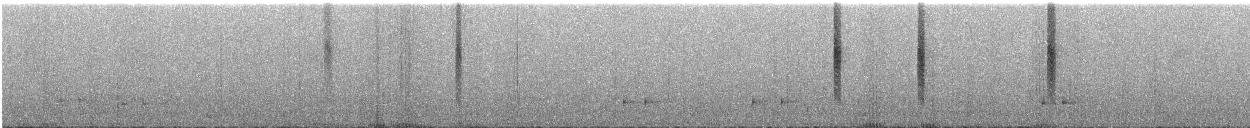 Gök Kuyruklu Ormanperisi - ML245796