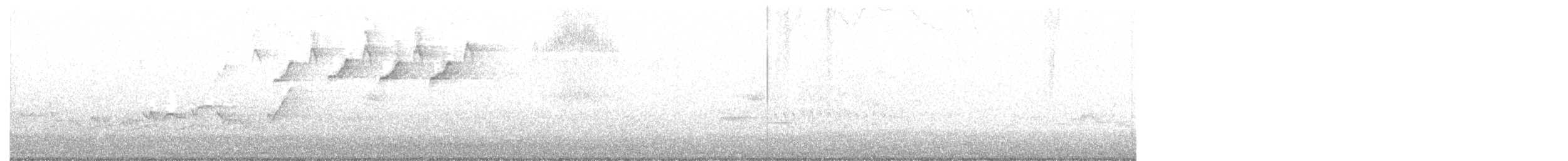 lesňáček černobílý - ML245812531