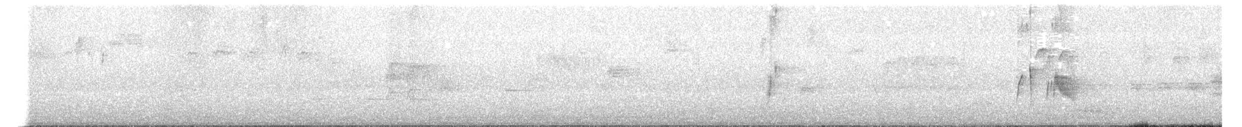 Ивовый мухолов - ML245815011