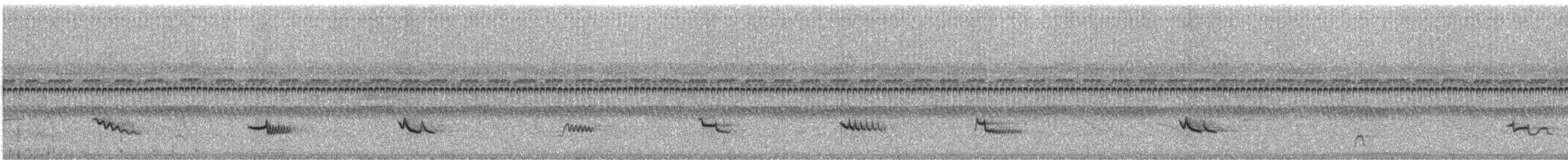 Marañóndrossel - ML245817