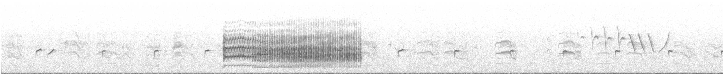 Common Tern - ML245827301