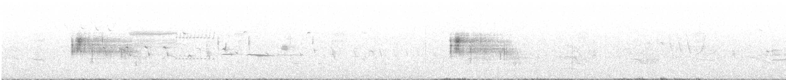 ネルソントゲオヒメドリ（subvirgata） - ML245827611