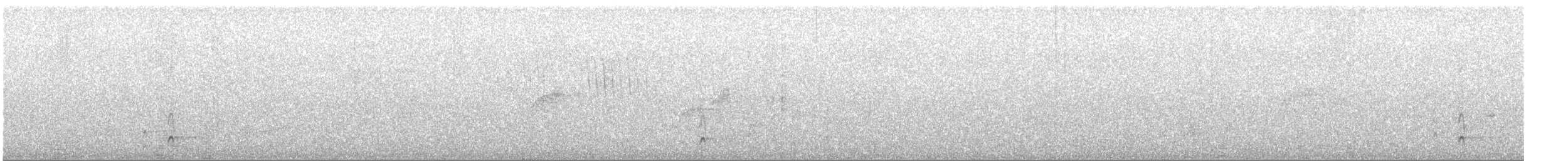 Shear-tailed Gray Tyrant - ML245845161