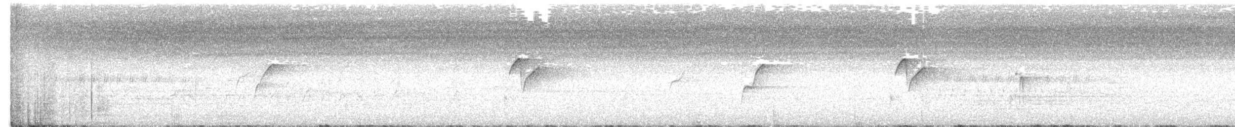 Western Flycatcher - ML245852291