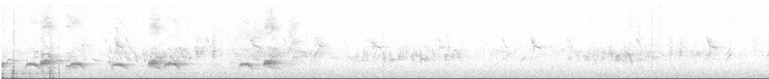 Brown-crested Flycatcher - ML245902231