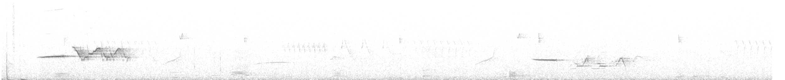 Münzevi Bülbül Ardıcı - ML245909481