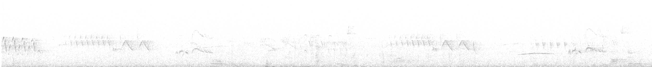 Boz Başlı Sinekkapan - ML245909771