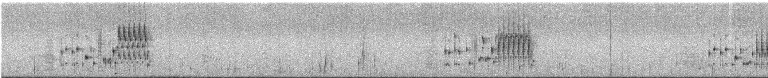 Marsh Wren (griseus) - ML245911991