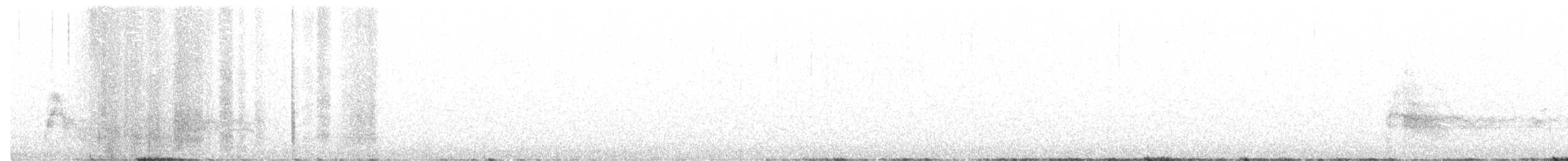 káně rudochvostá (ssp. harlani) - ML245916761