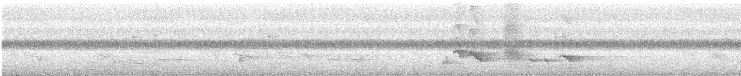 Black Drongo - ML245918671