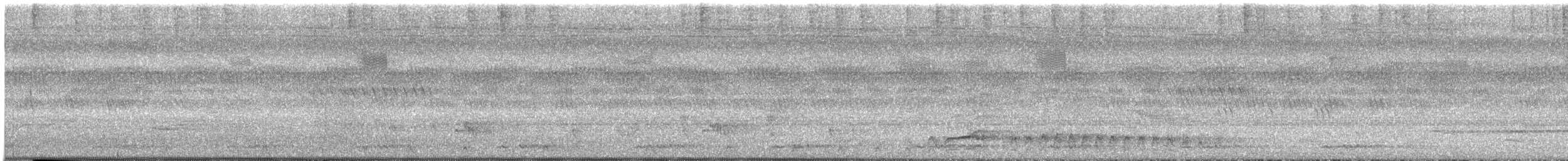 Malabar Gray Hornbill - ML245928501