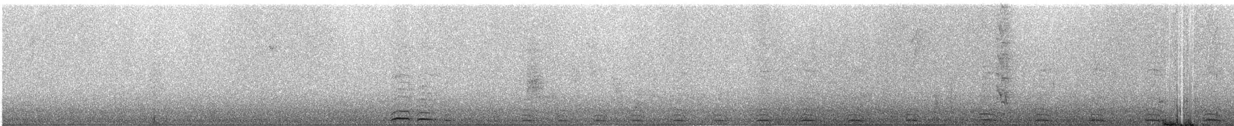 Grallaire de Ridgely - ML245931