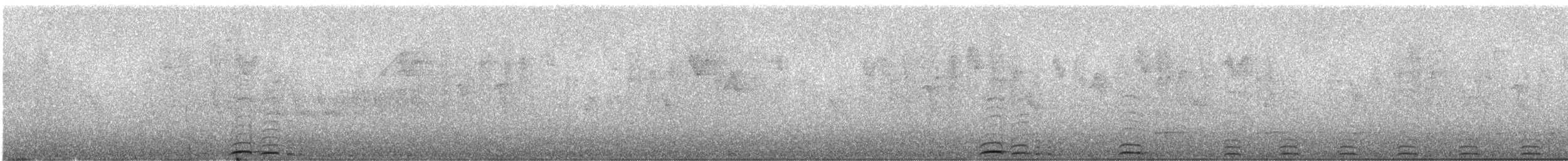 Grallaire de Ridgely - ML245933