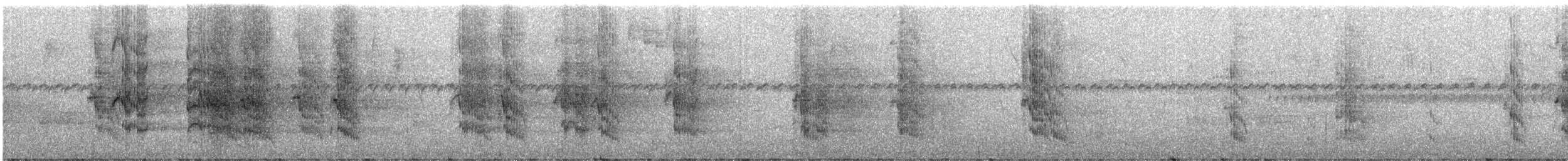 ecuadorparakitt - ML245947