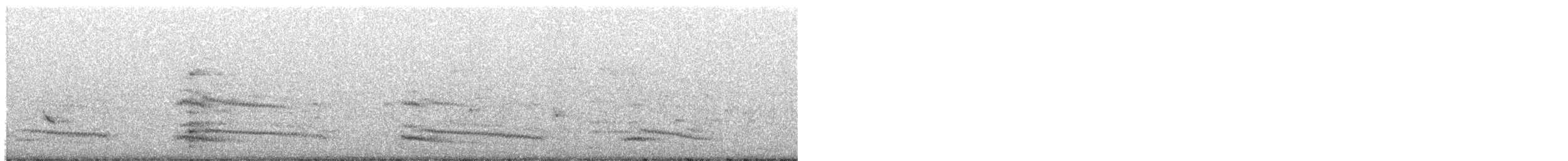 Black-headed Gull - ML245947081