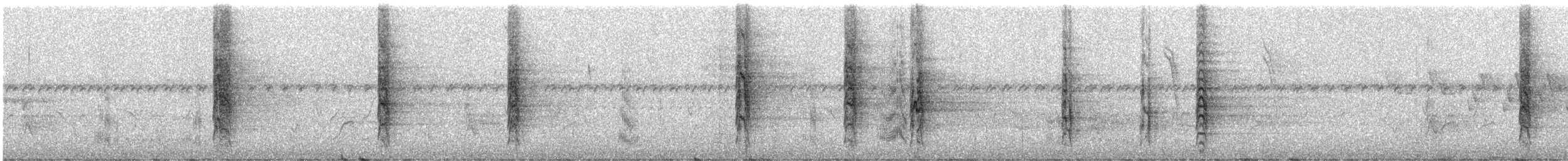 ecuadorparakitt - ML245948